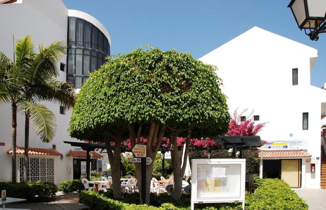 Apartamentos HG Cristian Sur - Foto 36