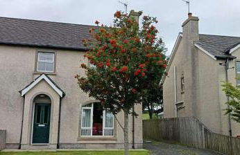 Rowan Tree Cottage, Ballycastle - Foto 1