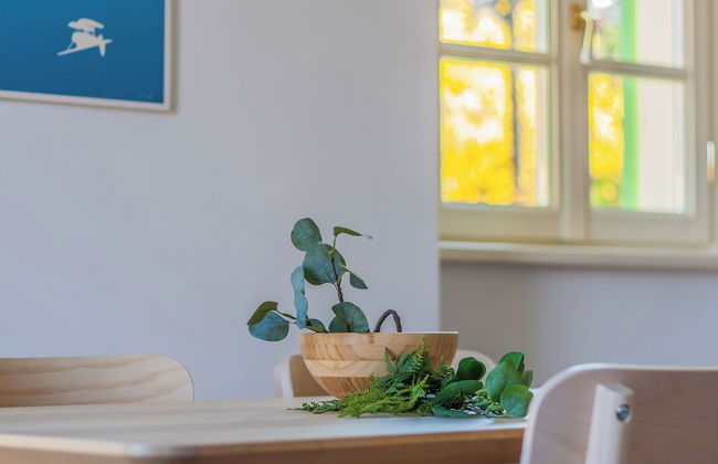 Green Rose by Wonderful Italy - Foto 28