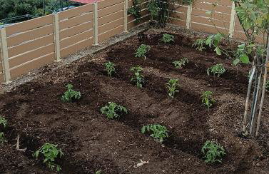 ainos cottage - Foto 8