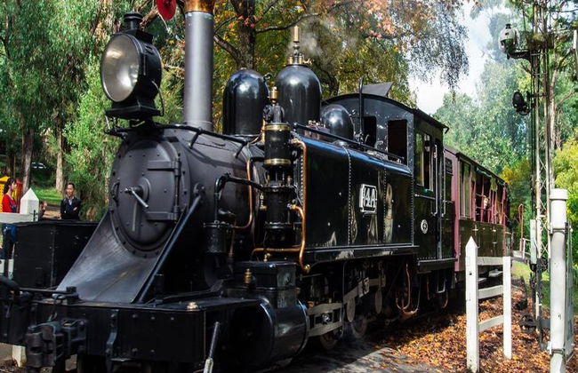 Puffing Billy and Healesville Sanctuary Bus Tour - Photo 1