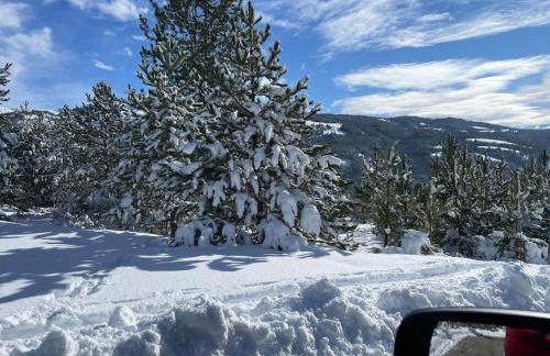 Large family - Foto 23