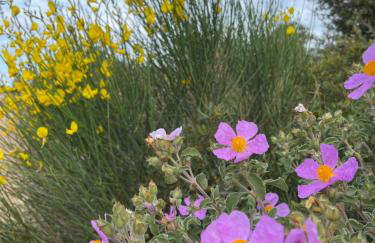 Primosten Sunhill Deluxe Apartment Lea - Foto 54