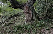 Vivienda Vacacional Ángel Inguanzo - Foto 50