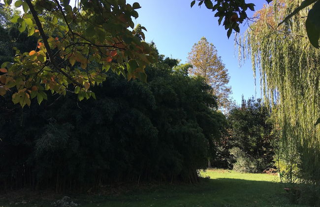 Villa La Dogana - Foto 75