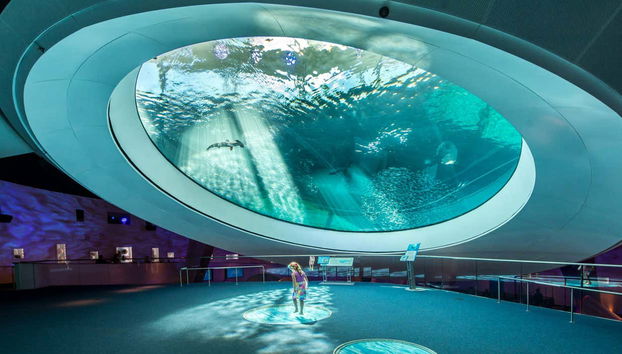 Visit the Aquarium and discover different marine species