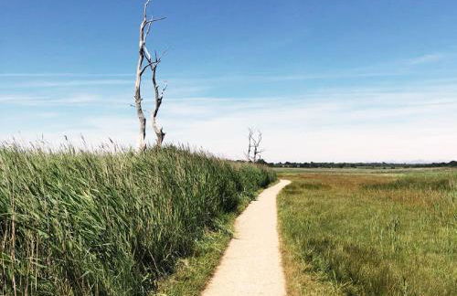 The Barn at Orford Lodge by The Suffolk Cottage Collection - Foto 27