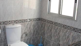 Studio Tropical - Foto 4