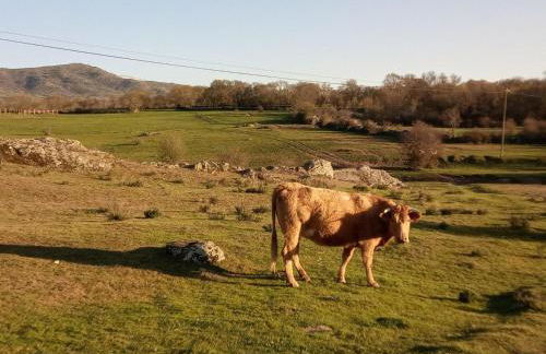 Casa Siete Picos - Foto 25