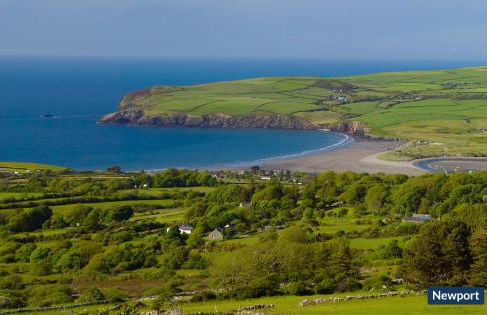 15 Newport Road - Foto 29