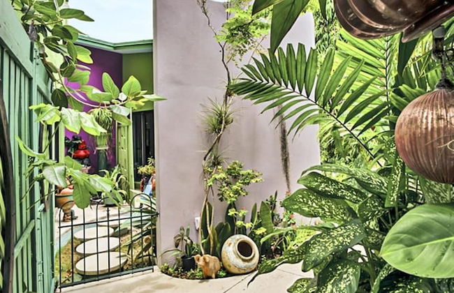 Unique Art Nature Hideaway Walkable to Wilton Drive - Foto 24