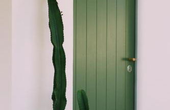 Casa Oliva - Casa da Serra - Foto 18