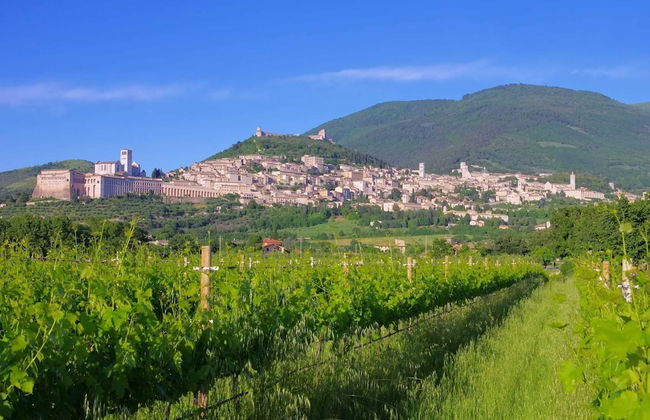 Villa in Cannara With Pool Near Assisi - Foto 36