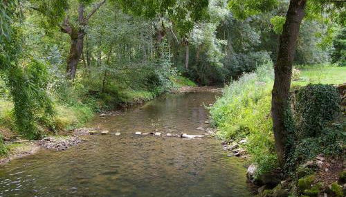 Moulin de Charme au Cœur du Berry, Proche Étang et Châteaux - FR-1-591-769 - Foto 4