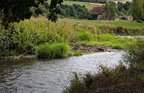Froschkönig mit Teichblick - Photo 39