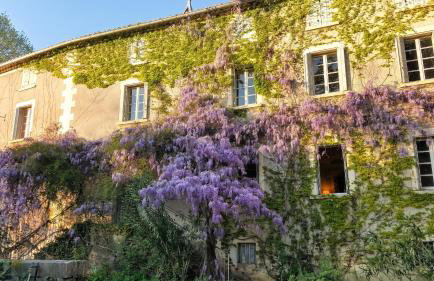 Villa historique à Berrias-et-Casteljau, 350 m² avec piscine privée - Photo 5