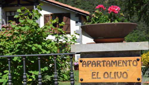 Apartamento El Olivo - Foto 3