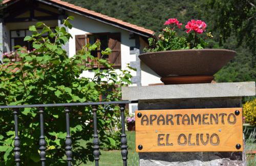 Apartamento El Olivo - Photo 3