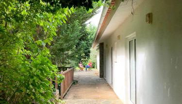 Casa do Galo / Galo House - Foto 5