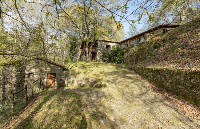 Quinta do Rio Homem - Photo 34