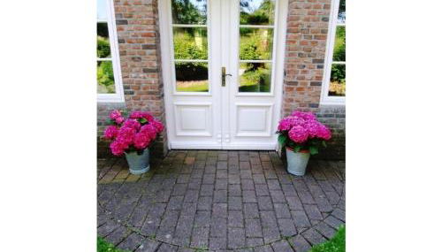 Marie Carla - Foto 5