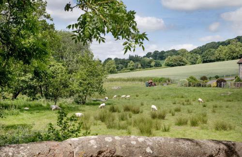 Birch House Studio - Foto 5