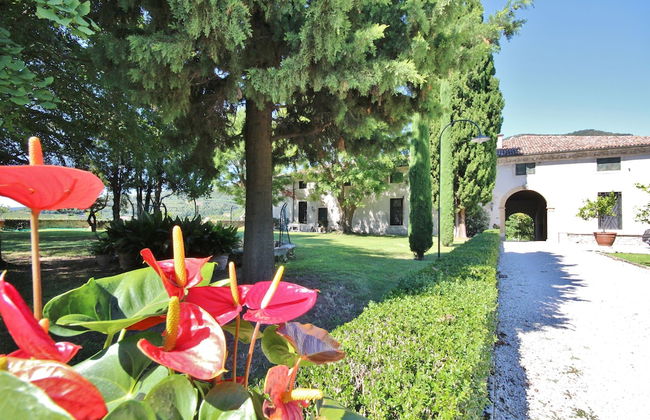 Il Castello - Foto 34