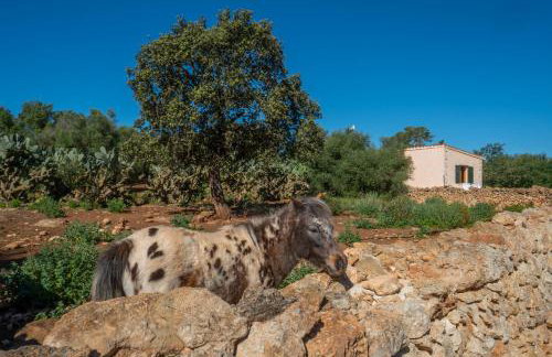 Finca Agroturismo Sa Cova den Borino - Photo 88