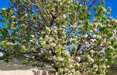 Christine luxury villa - Photo 33