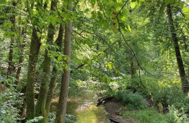 Apartament Zamkowe Wzgórze - Foto 54