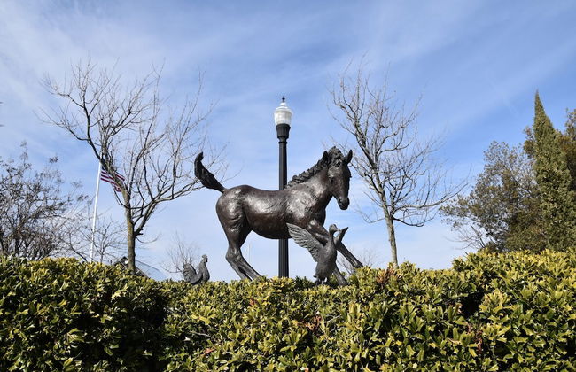 Key West Cottages - Foto 43