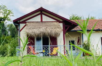 Métairie de Moutiques - Photo 47