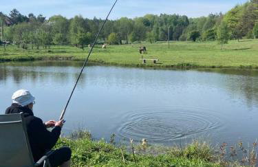 Jeleńczówka Alte Dorfschule - Foto 47