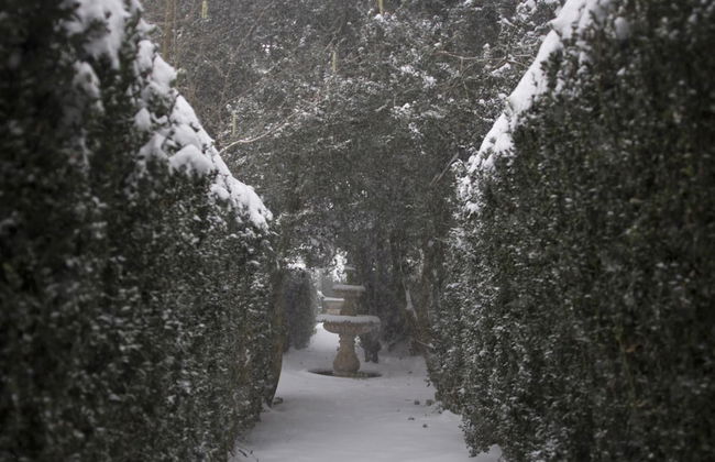 I Templari - Photo 41