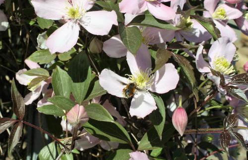 Die Stadtwohnung - Foto 36