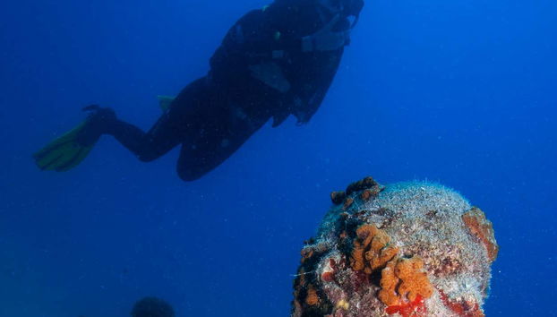 Diving and admiring the statues