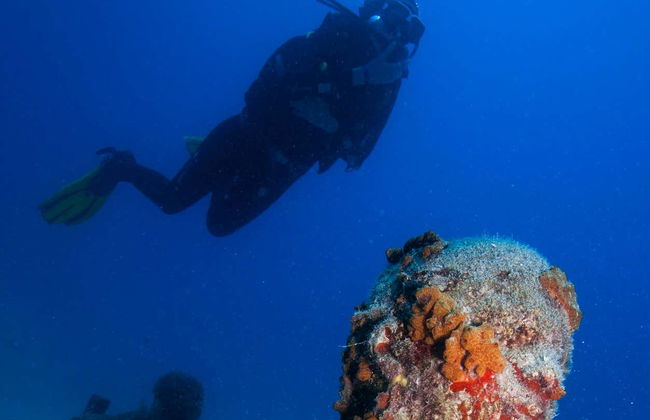 Diving Lanzarote: Museo de Atlántico - Photo 5