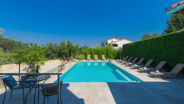 Salamander - Foto 2, Inside other