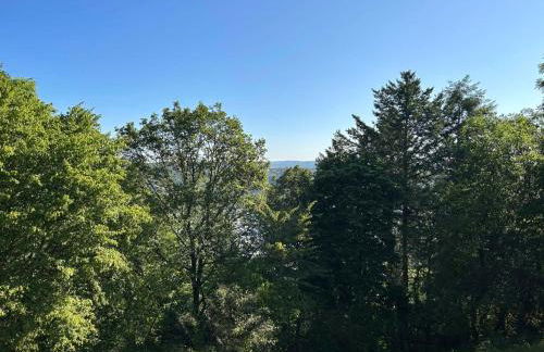 Altes Forsthaus Boppard - Foto 76