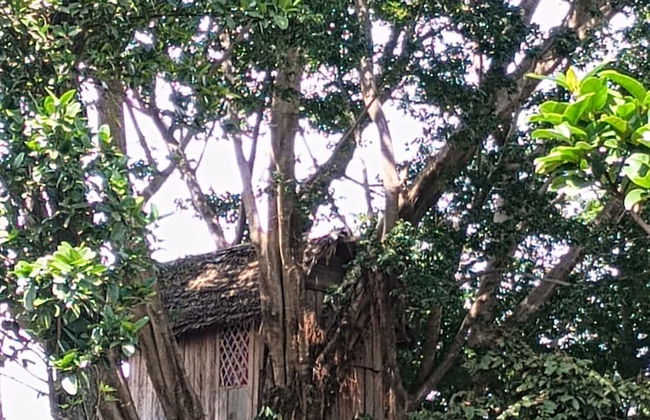 Glowing view tree house and Bangalow - Foto 31