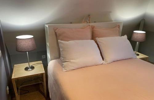 LE MAS maison vue sur Loire jardin 4 - Foto 43