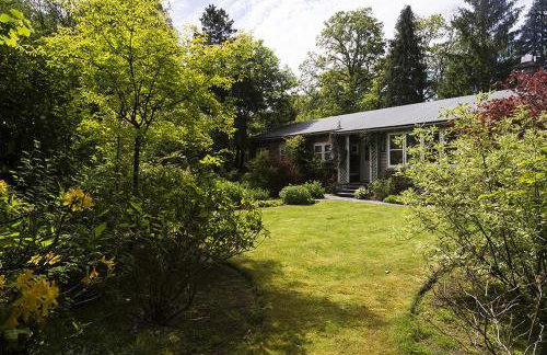 Rosewood by the River - Foto 40