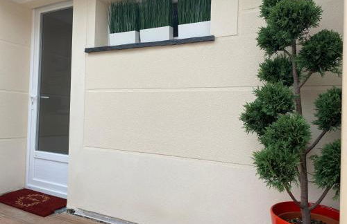 Paris-Zénith-bienvenue-terrasse-Netflix - Foto 19