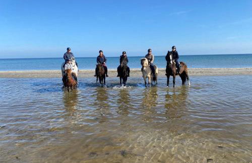 Hof Eichendiek Time Out Village - Foto 29