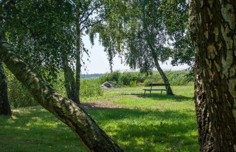 Haus Schilfkante - Wohnung 2 - Foto 28