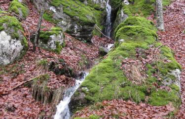 Casa nel bosco alle Macinaie - Foto 37