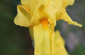 GITE MONTGOLFIÈRE 4 PERSONNES - Foto 18