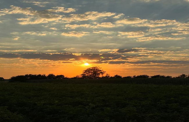 Cozy Forest-edge Home - Foto 27