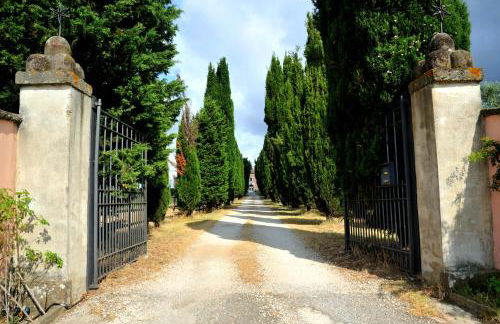 Agriturismo Casale Bonaparte - Foto 29