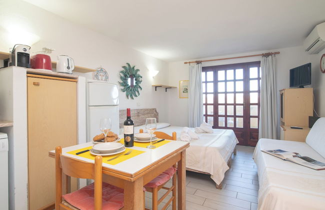 Mono Calamaro Eucalyptus 242 - Foto 3